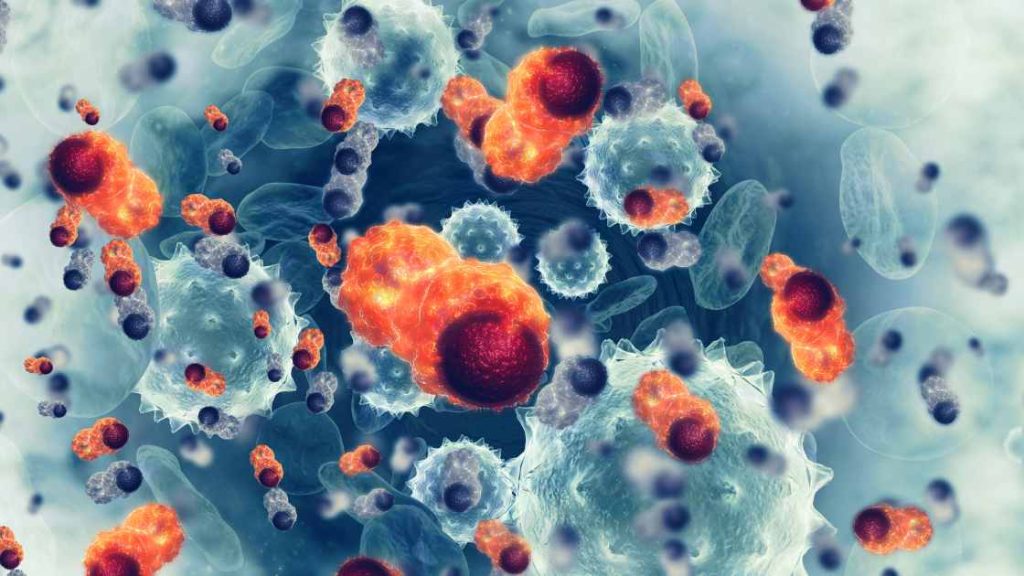 Study Finds Blood From Vegans Is More Protective Against Cancer