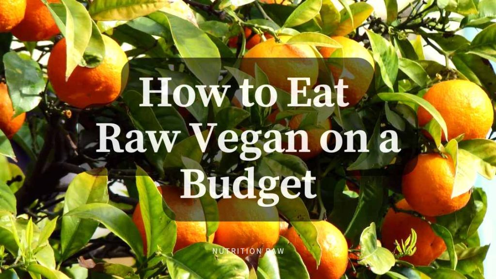 Raw Vegan on Budget